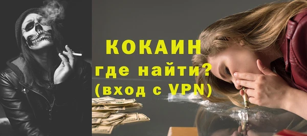 МДПВ Каменногорск